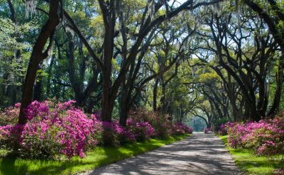 St Francisville Louisiana